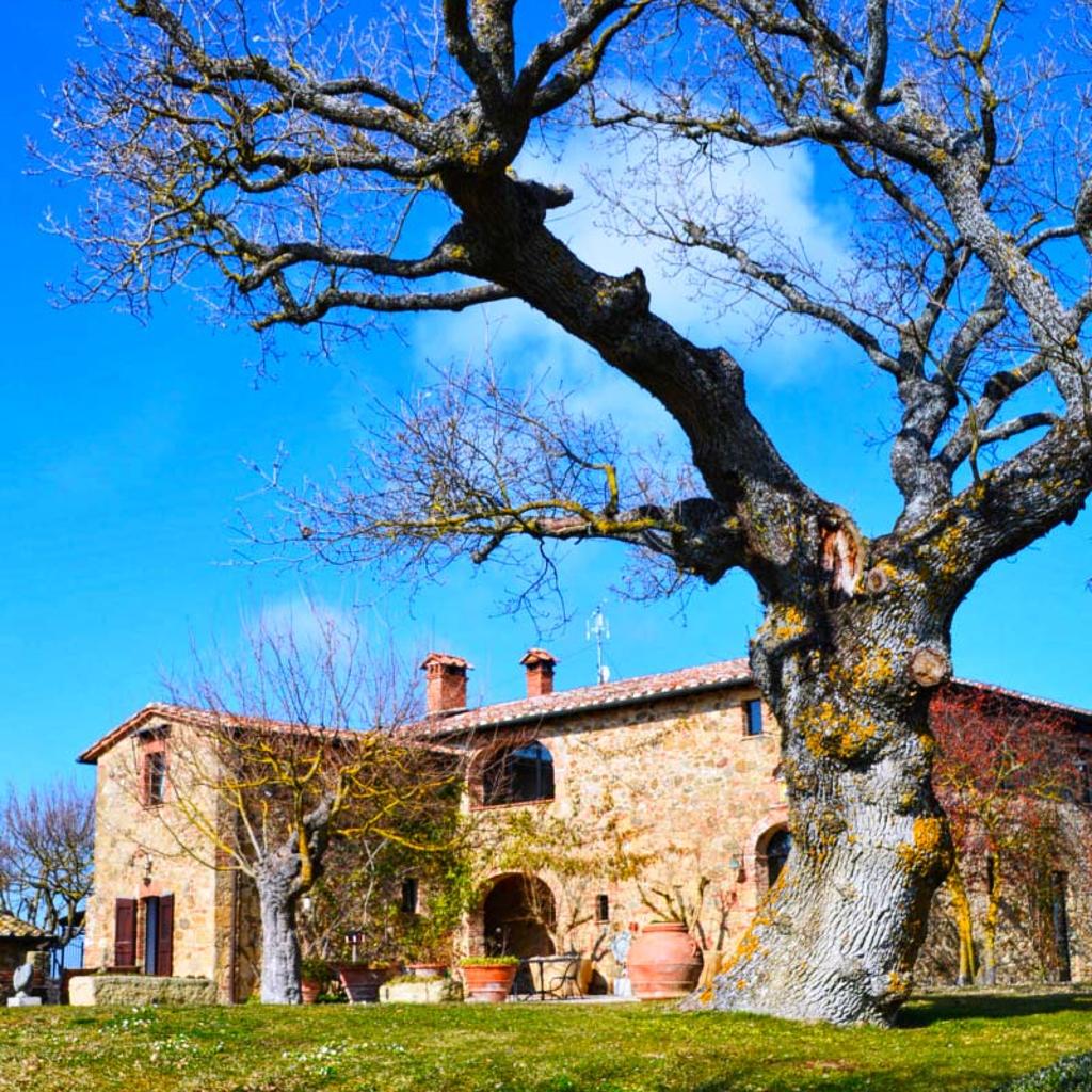 Casale in pietra con grande albero spoglio in primo piano in una giornata di sole, realizzato da Archidomus architetto Monica Rossi.